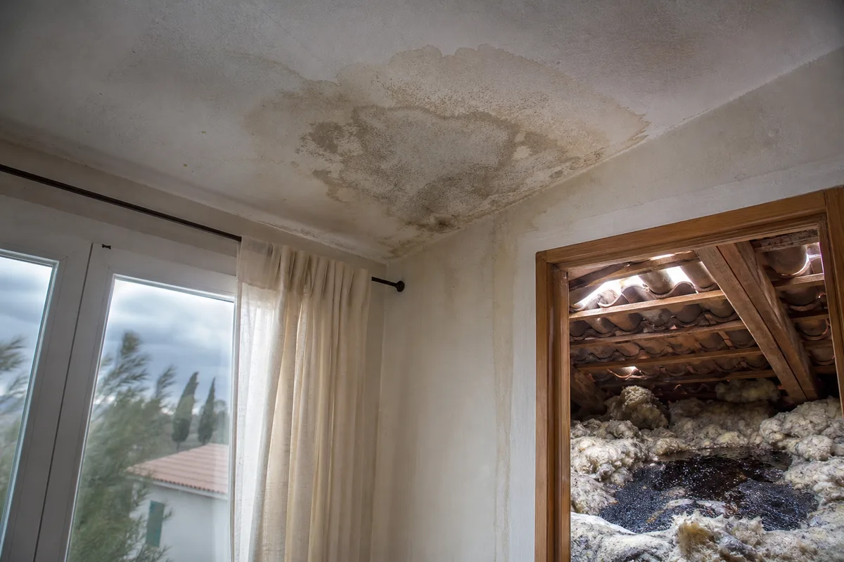 Auréole d&rsquo;infiltration au plafond et isolant de comble détrempé après une fuite de toit